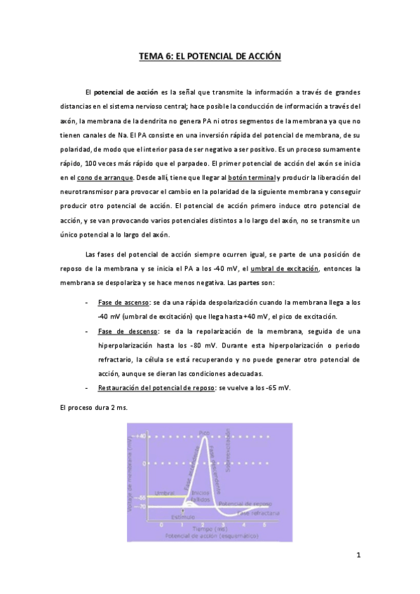 Miniatura del documento TEMA-6-FN.pdf