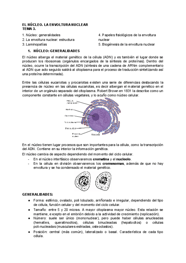 Miniatura del documento BIOLOGIA-TEMA-3.pdf