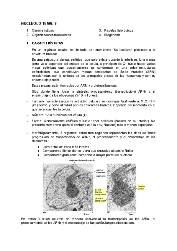 Miniatura del documento BIOLOGIA-TEMA-8.pdf