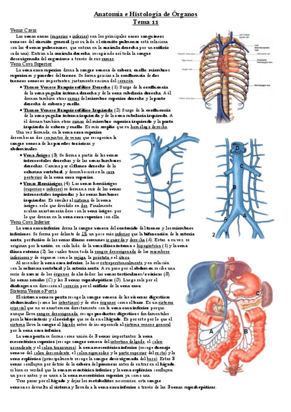 Miniatura del documento Tema-11.pdf