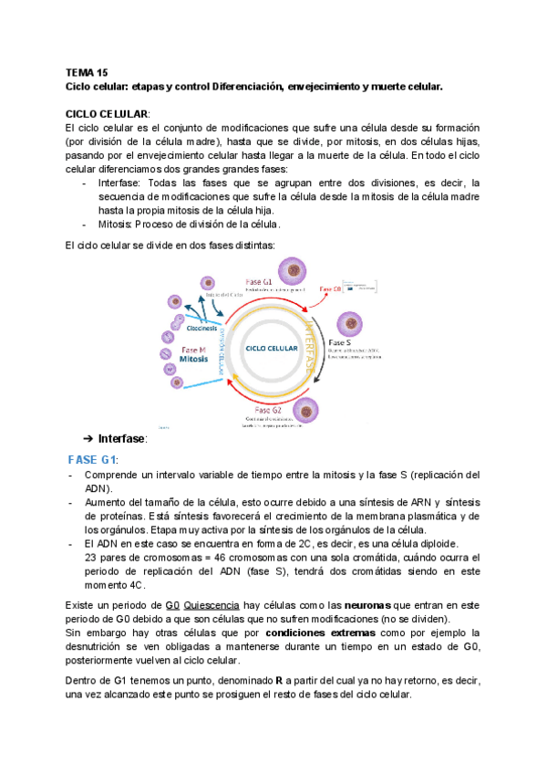 Miniatura del documento BIOLOGIA-TEMA-15.pdf