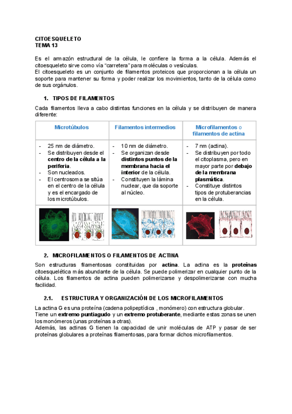 Miniatura del documento BIOLOGIA-TEMA-13.pdf