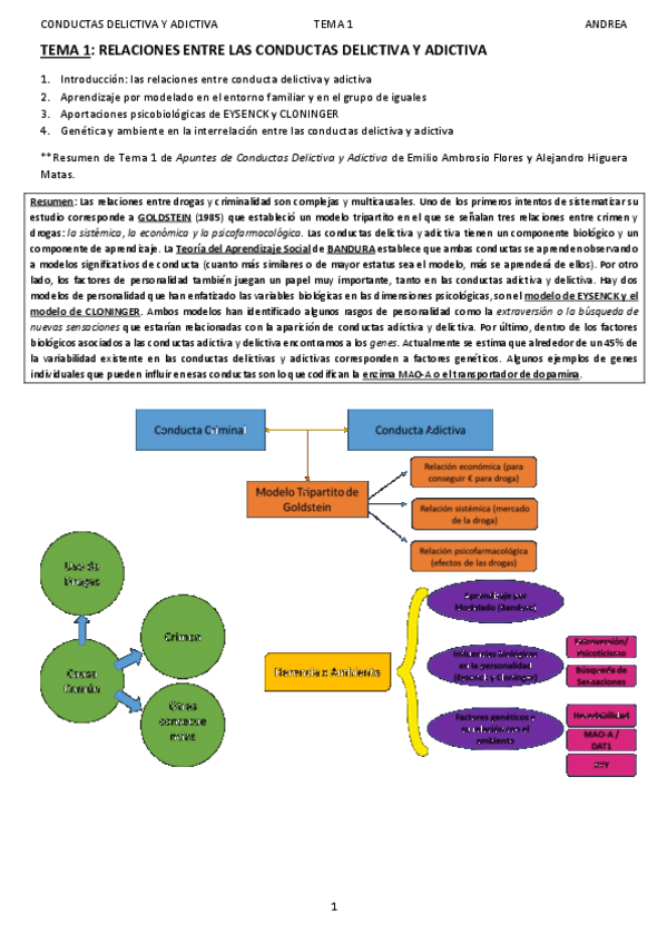 Miniatura del documento T1CONDUCTAS-DELICTIVA-Y-ADICTIVAANDREA.pdf