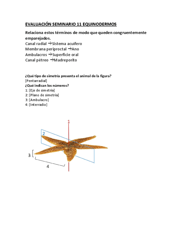 Miniatura del documento Evaluación seminario 11 Equinodermos