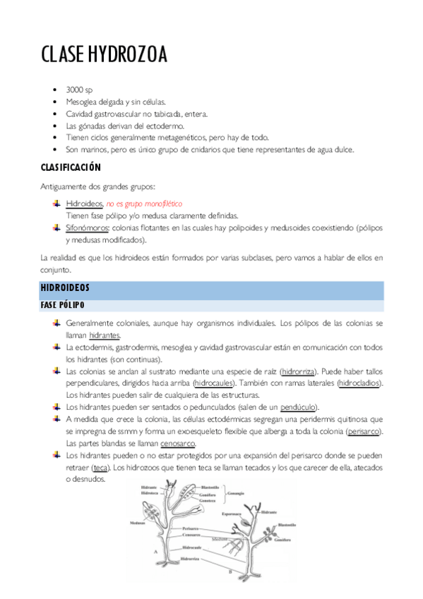 Miniatura del documento Clase Hydrozoa