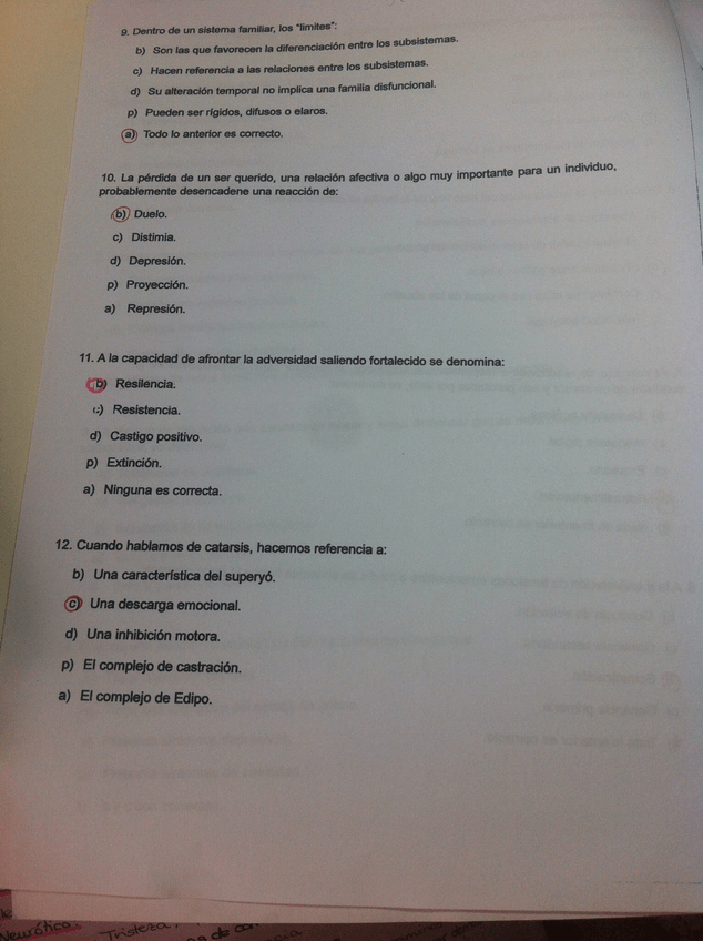 Miniatura del documento image.jpeg