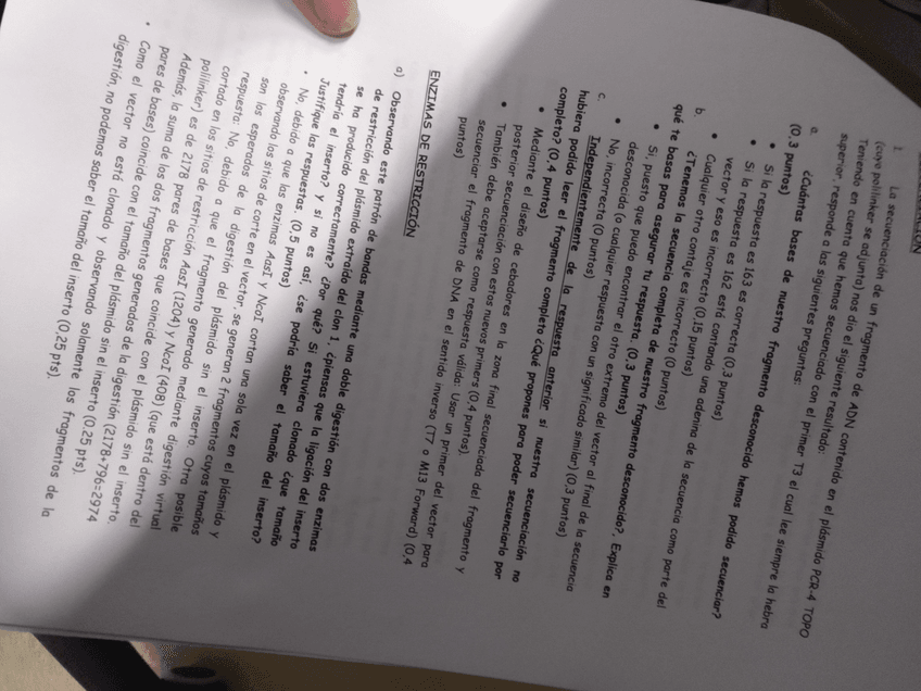 Miniatura del documento IMG20191017185347408.jpg