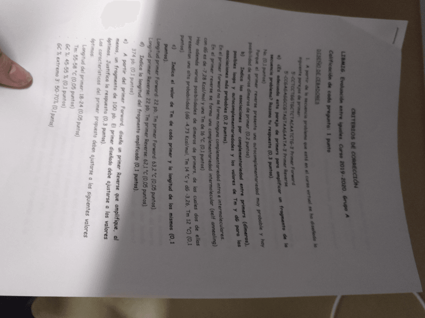 Miniatura del documento IMG20191017185338199.jpg