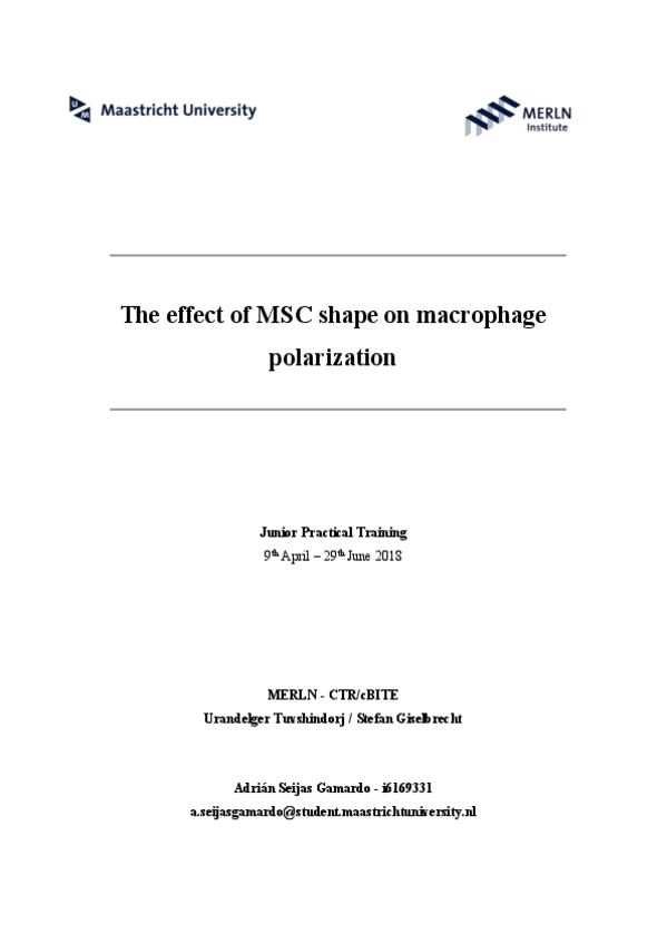 Miniatura del documento Trabajo.pdf