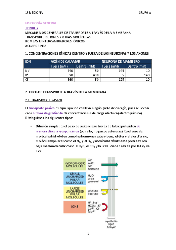 Miniatura del documento TEMA 2.pdf