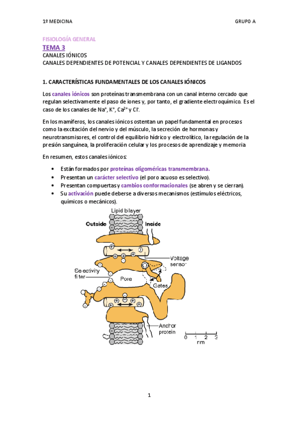 Miniatura del documento TEMA 3.pdf