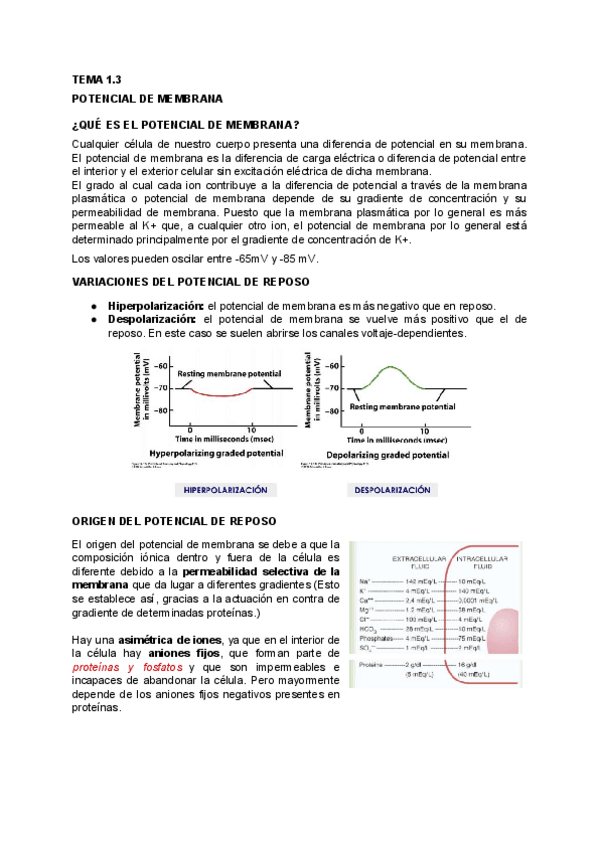 Miniatura del documento FISIOLOGIA-1.pdf