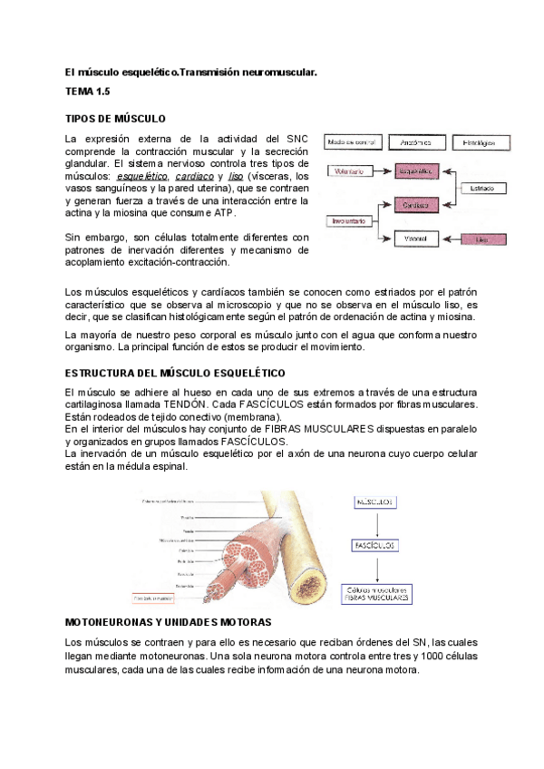 Miniatura del documento FISIOLOGIA-1.pdf