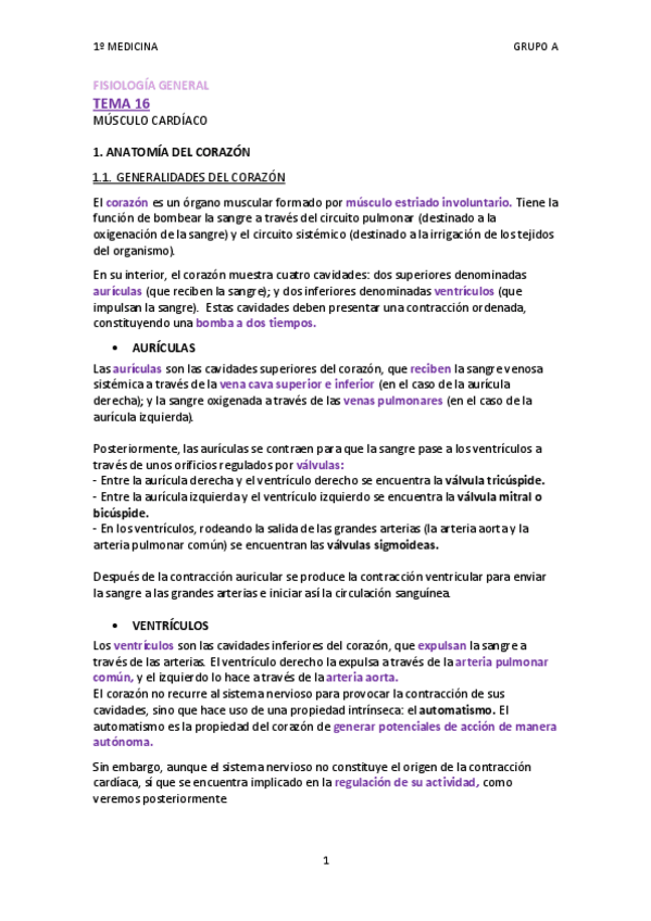 Miniatura del documento TEMA 16.pdf