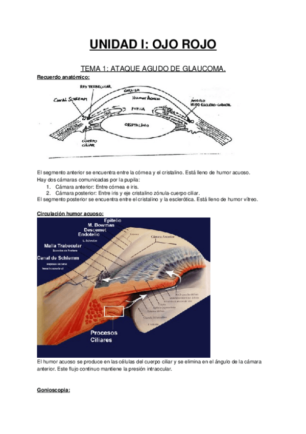 Miniatura del documento APUNTESPATODEF.docx