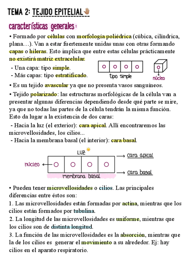 Miniatura del documento Tema-2.pdf