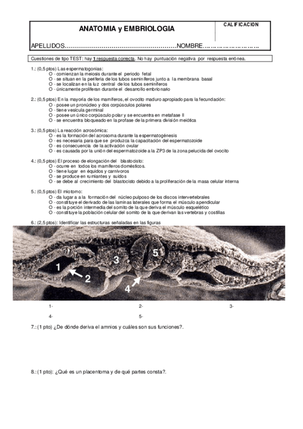 Miniatura del documento Muestra examen teoría.pdf