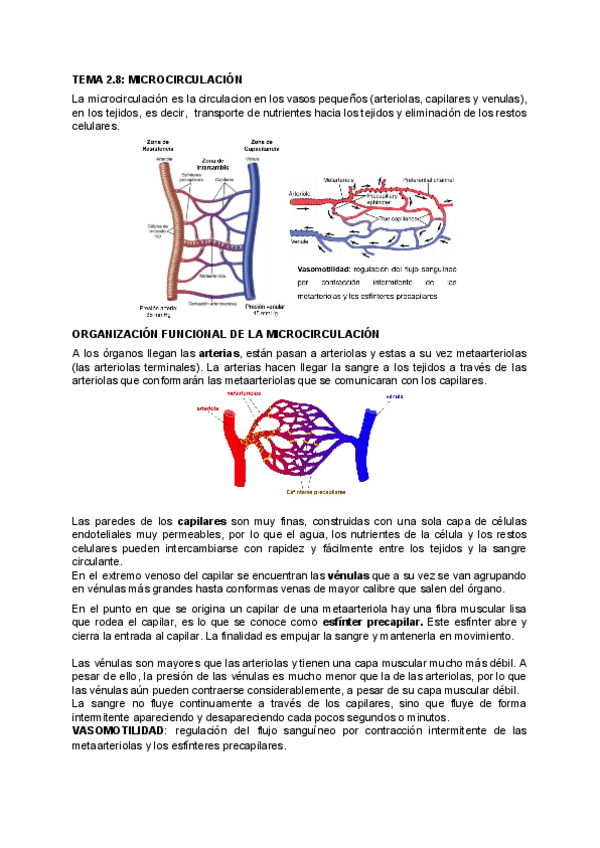Miniatura del documento FISIOLOGIA-2.pdf
