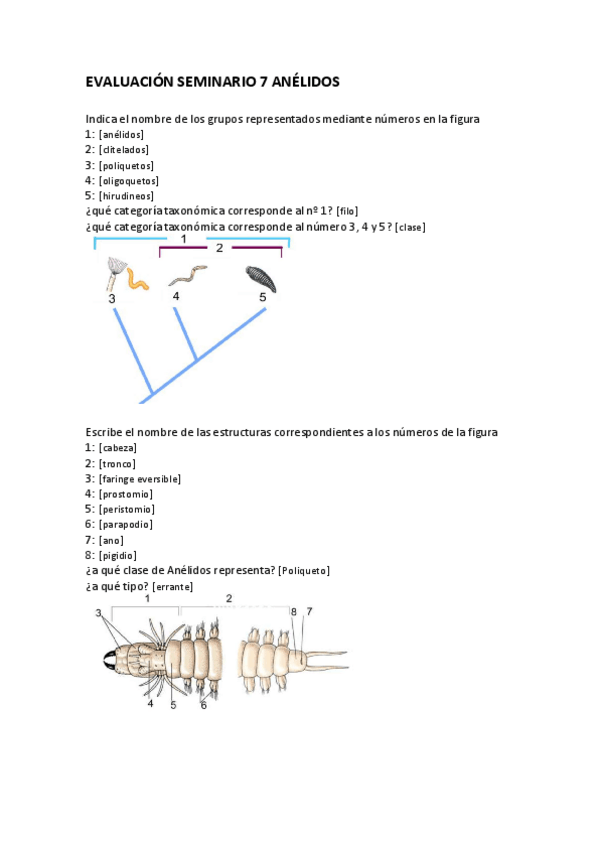 Miniatura del documento Evaluacion-seminario-7-Anelidos.pdf