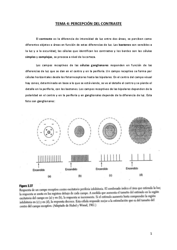 Miniatura del documento TEMA-4-AP.pdf