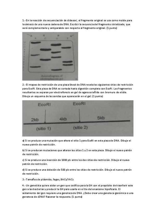 Miniatura del documento EXAMEN - 1ER PARCIAL (1).pdf