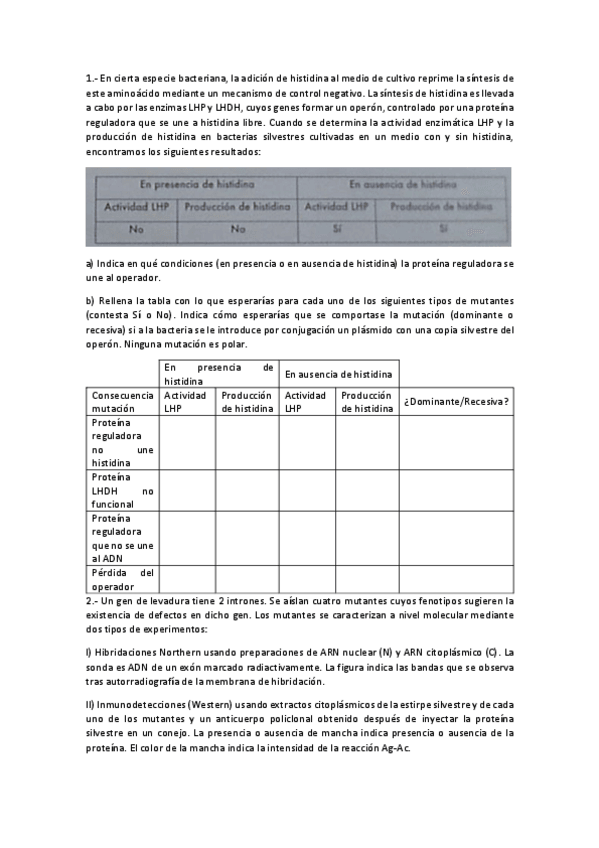Miniatura del documento EXAMEN - 2º PARCIAL (1).pdf