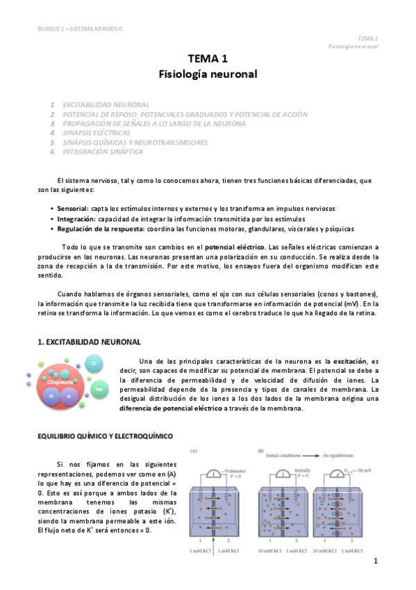 Miniatura del documento Tema 1 - Fisiología neuronal.pdf