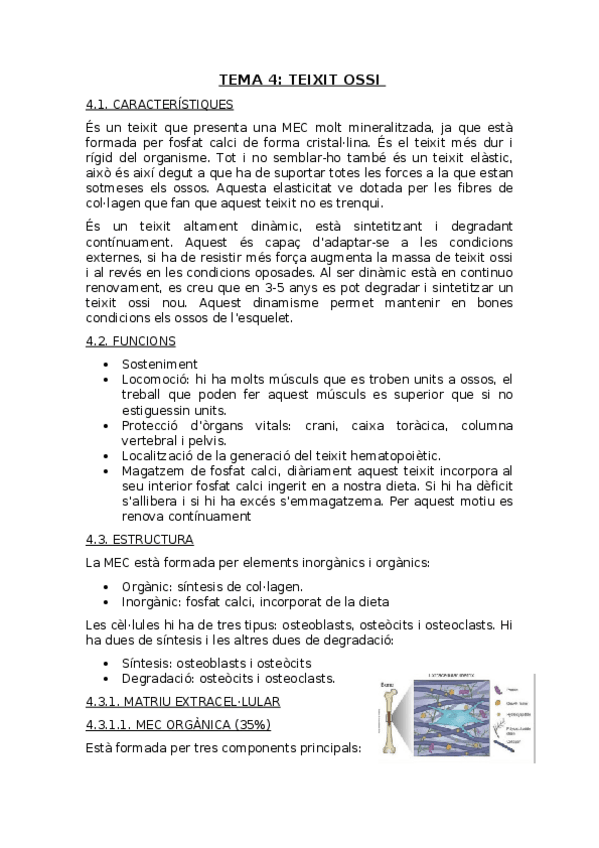 Miniatura del documento Tema-4-Teixit-ossi.docx