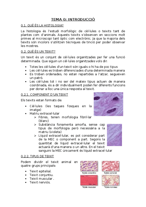 Miniatura del documento Tema-0-Introduccio.docx