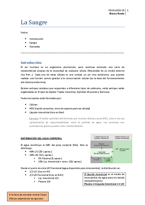 Miniatura del documento SANGRE-FISIOLOGIA-CR.pdf