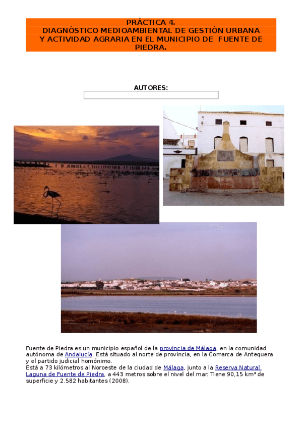 Miniatura del documento FichaDiagnosticoMAMunicipio-cop1.odt