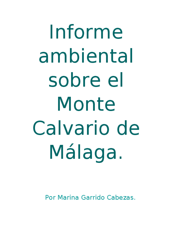 Miniatura del documento informe-ambiental.docx