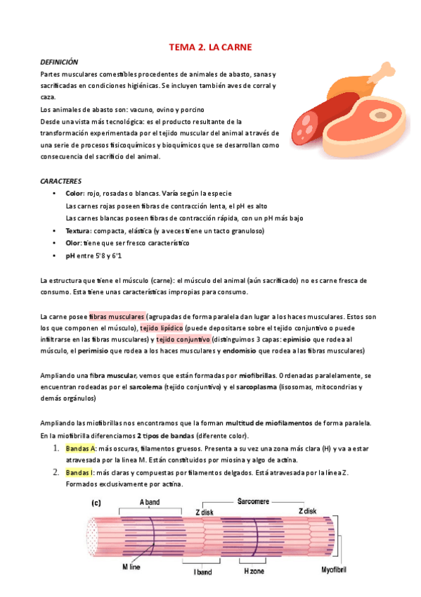 Miniatura del documento TEMA-2.pdf