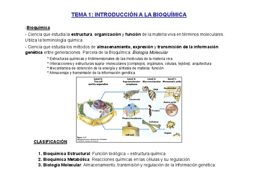 Miniatura del documento T1-BQ-Fisio-2019-20.pdf