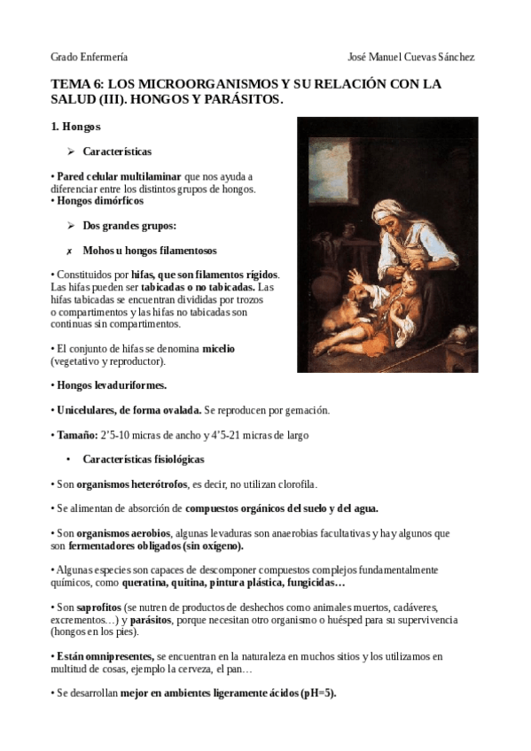 Miniatura del documento TEMA-6.pdf