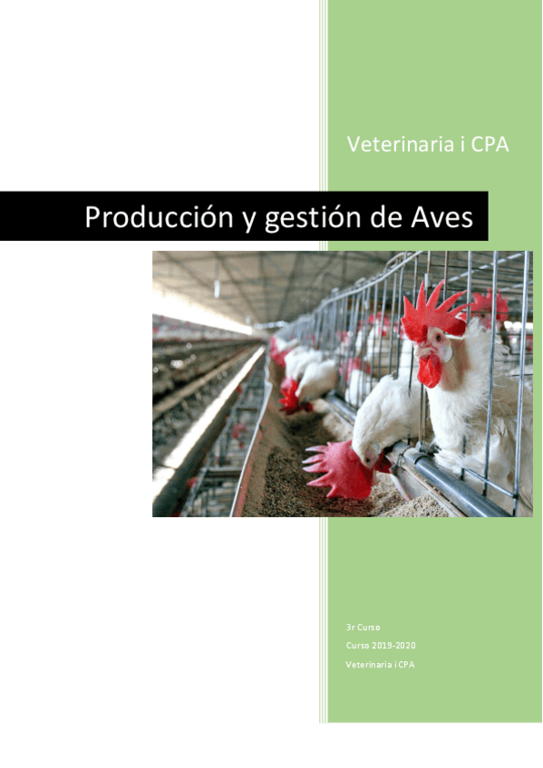 Miniatura del documento Produccion-y-gestion-de-aves.pdf