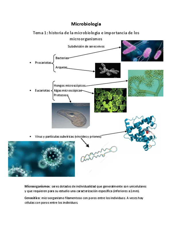 Miniatura del documento Microbiologia.pdf