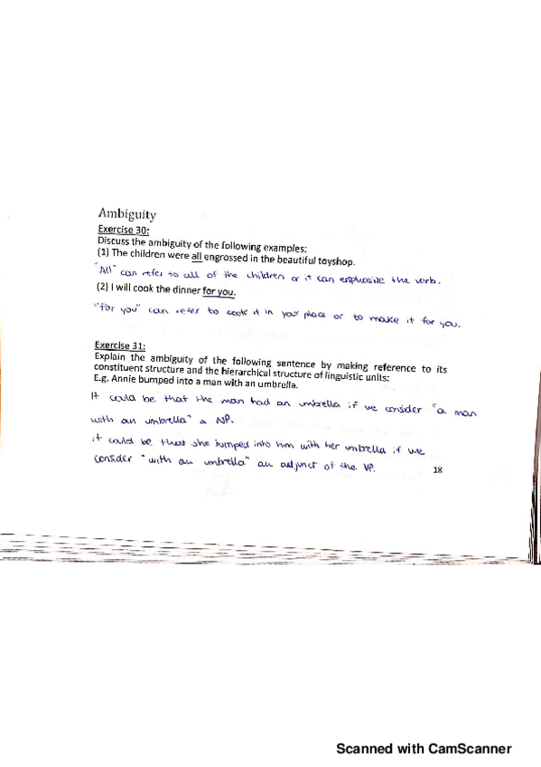 Miniatura del documento Pack-2-Ambiguity.pdf