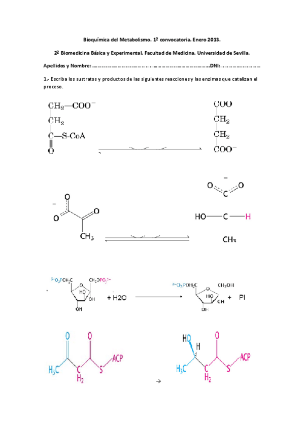 Miniatura del documento EXAMEN - MODELO (1).pdf