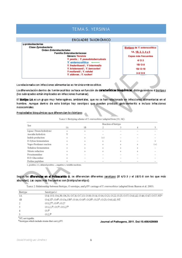 Miniatura del documento Tema-5-Yersinia.pdf