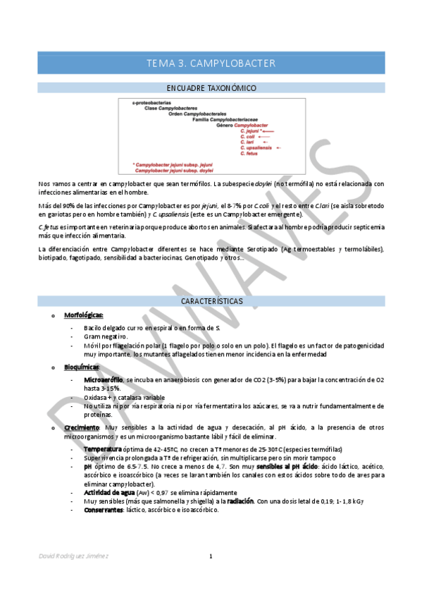 Miniatura del documento Tema-3-Campylobacter.pdf