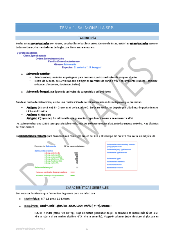 Miniatura del documento Tema-1-Salmonella-spp.pdf