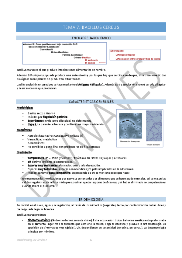Miniatura del documento Tema-7-Bacillus-cereus.pdf