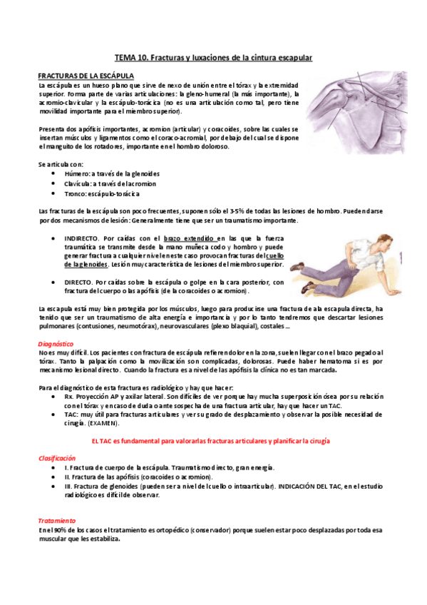 Miniatura del documento Tema-10.pdf