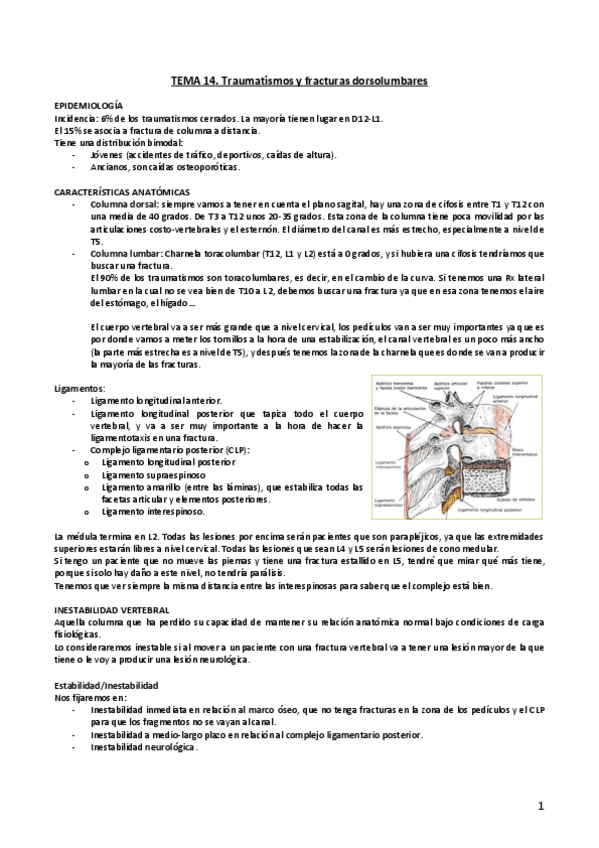 Miniatura del documento Tema-14.pdf