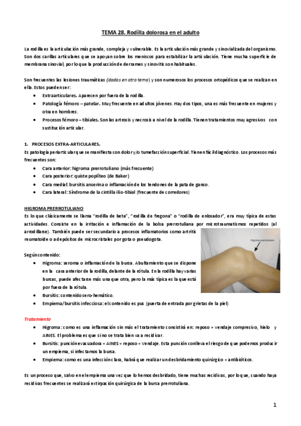 Miniatura del documento Tema-28.pdf