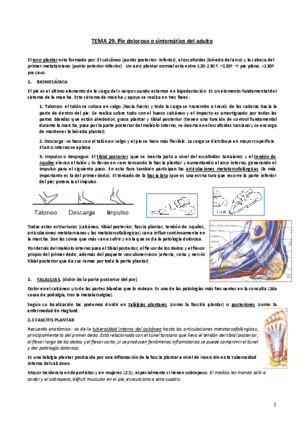 Miniatura del documento Tema-29.pdf