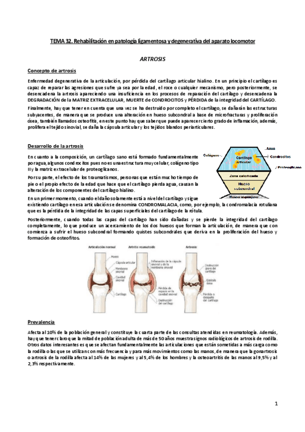 Miniatura del documento Tema-32.pdf