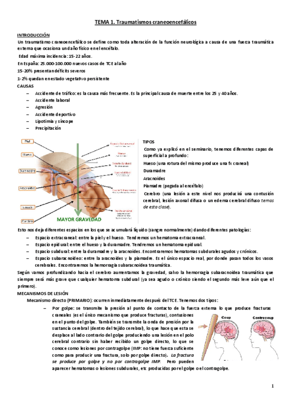 Miniatura del documento Tema-1.pdf