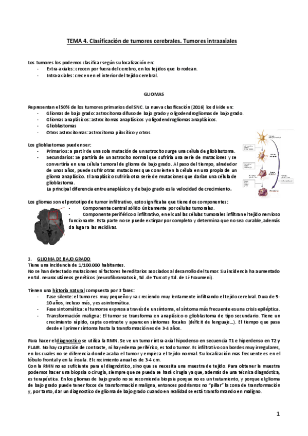 Miniatura del documento Tema-4.pdf
